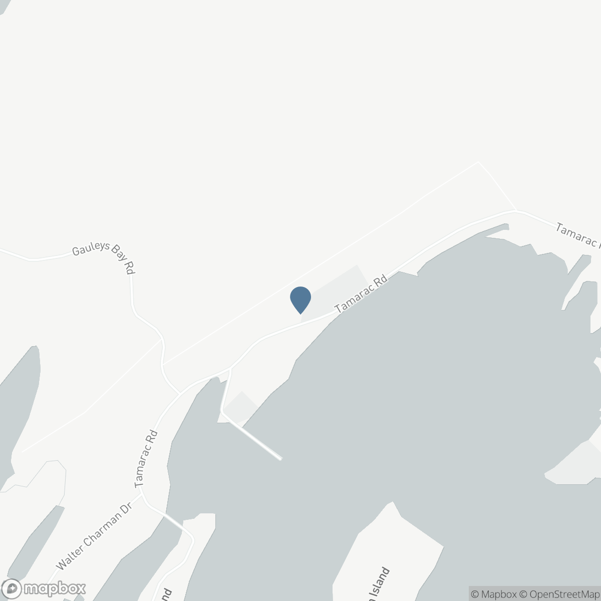 118 TAMARAC ROAD, Lion's Head, Ontario N0H 1W0